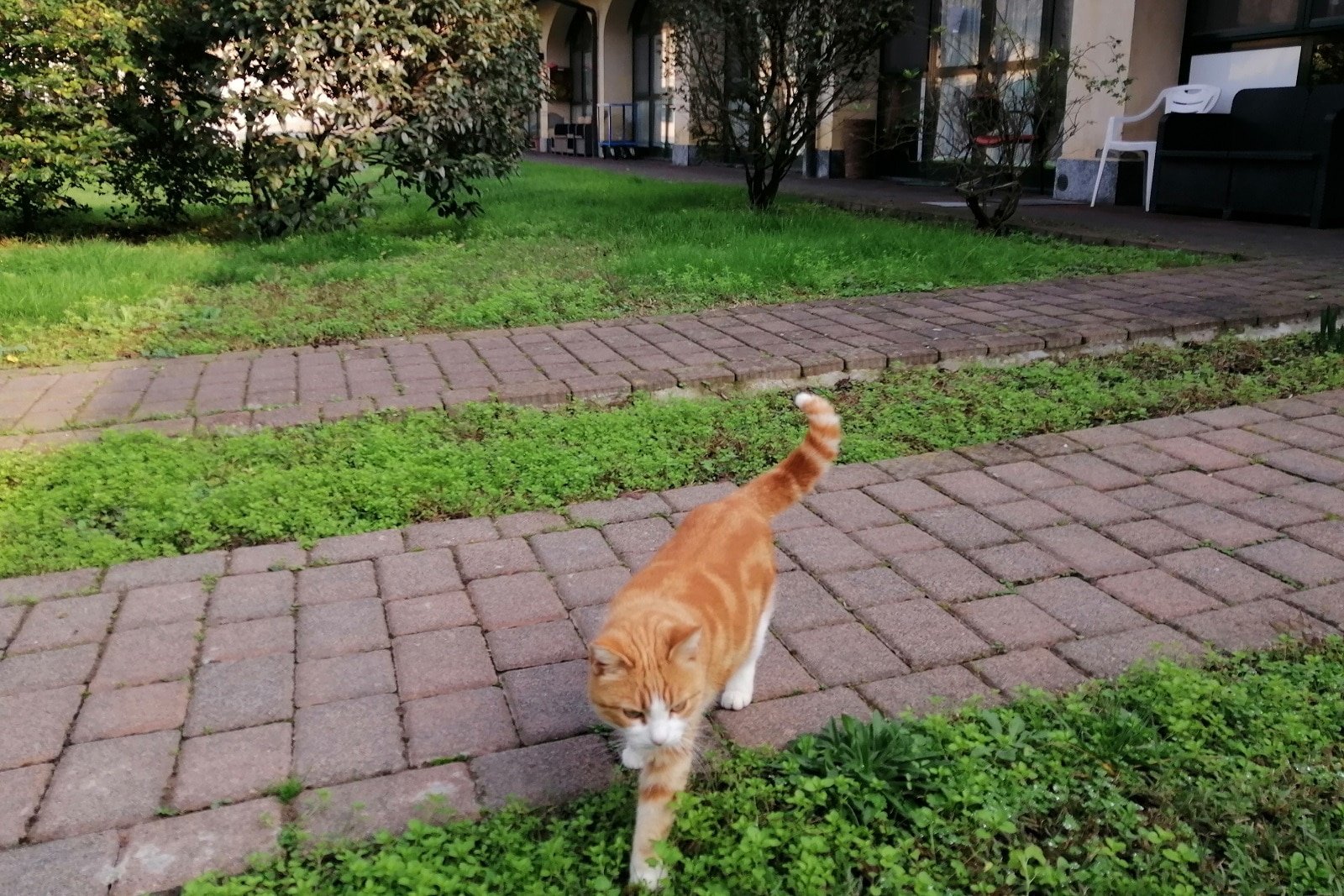 Villa Flavia, giardino e spazi esterni